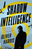 A_shadow_intelligence